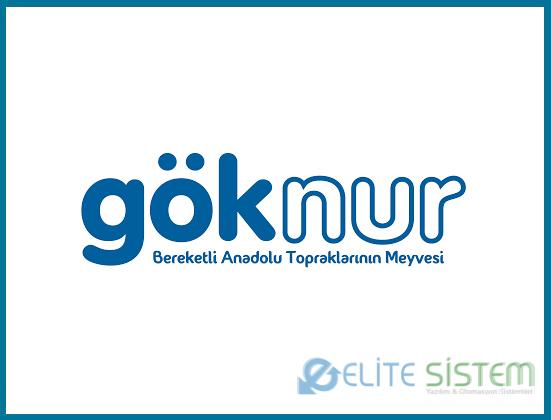 GÖKNUR GIDA