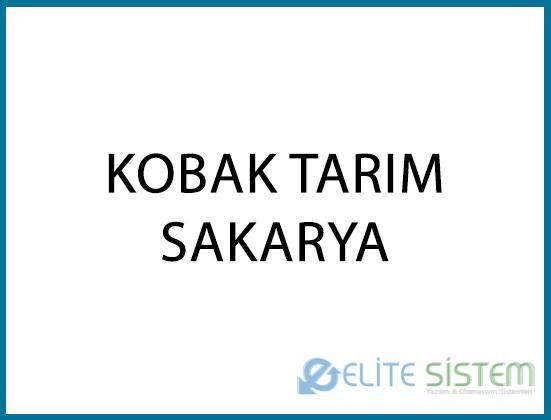 KOBAK TARIM / SAKARYA