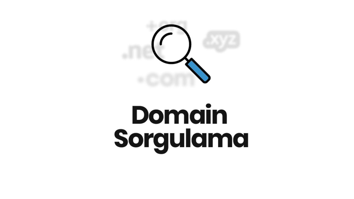 Domain Sorgula